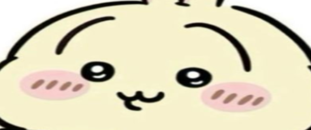 Usagi